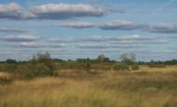 Estonian landscape - P0001344 cr.jpg 4.1K
